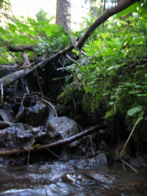 IMG 0063