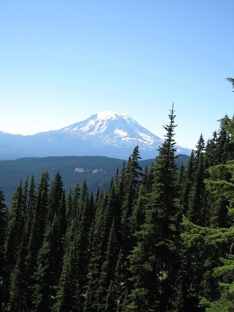 IMG 0066