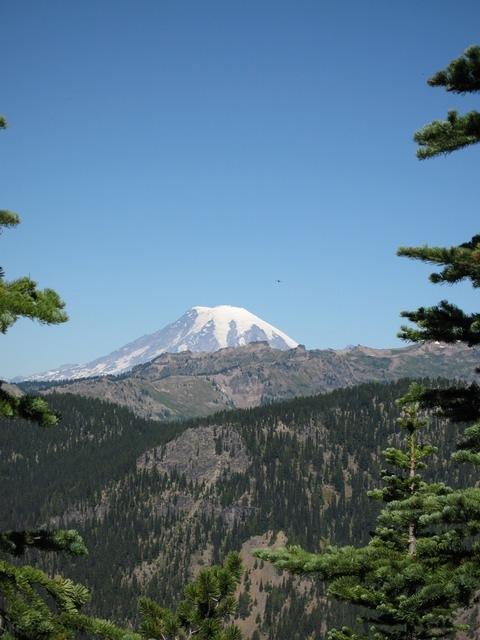 IMG 0071