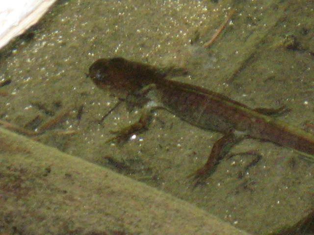 IMG 0081