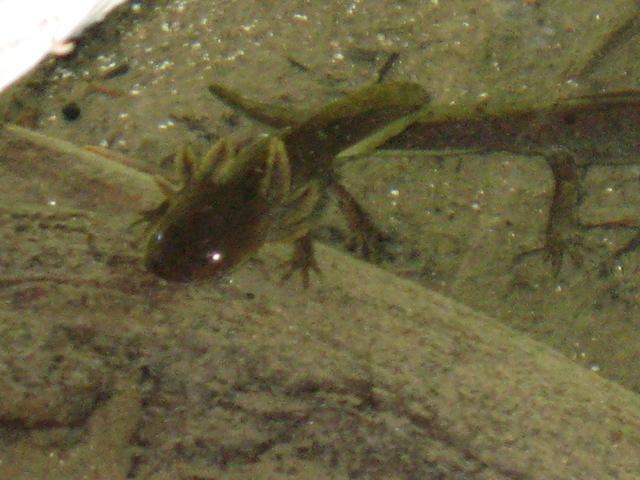 IMG 0084