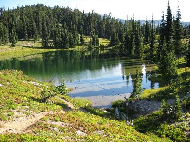 IMG 0091