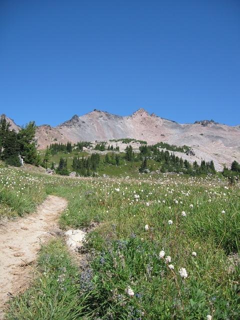 IMG 0105