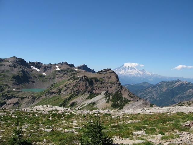 IMG 0108