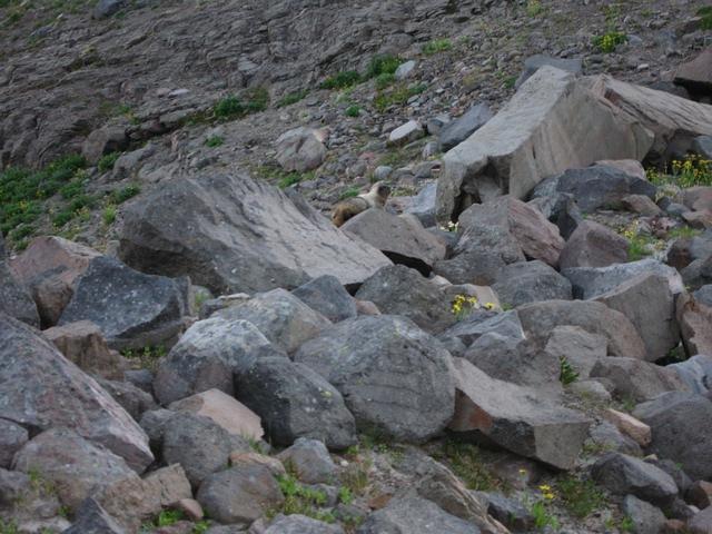 IMG 0171