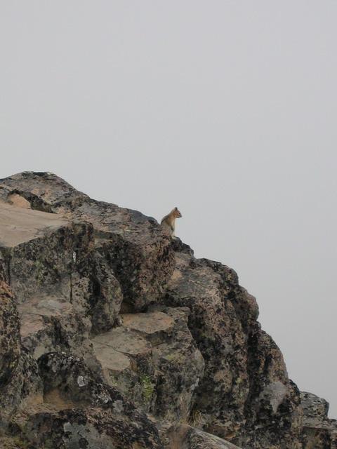 IMG 0185