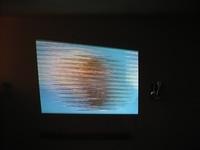 IMG 0224