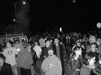 IMG 0250