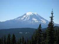 IMG 0064