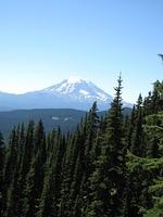 IMG_0066.JPG