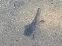 IMG 0079