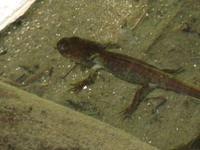 IMG_0081.JPG