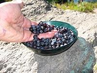 IMG_0085.JPG