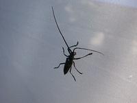 IMG_0086.JPG