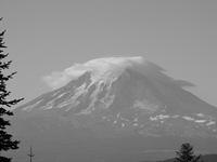 IMG 0090