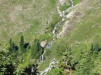 IMG 0100