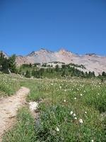 IMG 0105