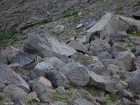 IMG 0171