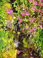 IMG 0179