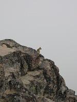 IMG 0185