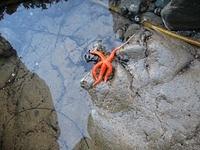 IMG 0392