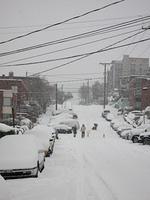 IMG 0920