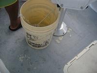 IMG 1774
