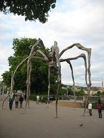 IMG_2357