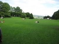 IMG_2365